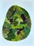 Territorio 4 - Isabel Hooft