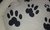 MOISÉS PATITAS PARA MASCOTAS en internet