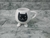 Taza patitas en internet