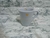 Taza cónica en internet