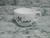 Imagen de Tazon premium blanco y pastel