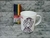 Tazas de polímero para pintar en internet