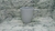 Taza bombé en internet