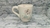 50 tazas Dia de la Madre - comprar online