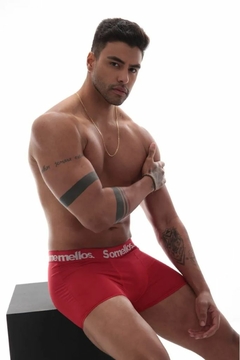 537 - CUECA SOMELLOS ALGODÃO LISA na internet