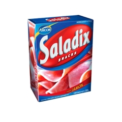 SALADIX X100 EN CAJA - comprar online