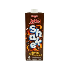 CHOCOLATADA X1LT BAGGIO