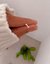 Miniatura Daisy - comprar online