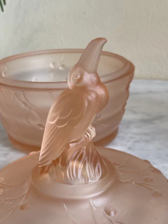 Potiche em vidro satiné rose com pássaro na internet