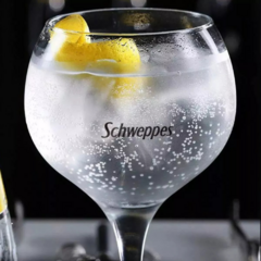 Tónica Schweppes Original Lata 310ml x24 en internet