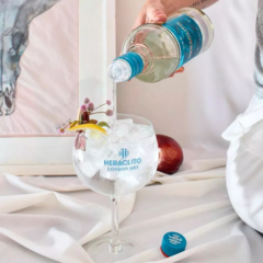 Gin Heraclito London Dry Botella 750ml - comprar online