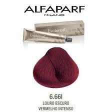 ALFAPARF EVOLUTION 6.66I