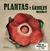 PLANTAS Y ARBOLES INCREIBLES  CON POP-UP - - comprar online