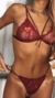 Conjunto Wine