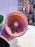 MINI SAVARIN - comprar online