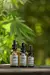 Aceite Capilar con CBD "Sentida Botánica" en internet