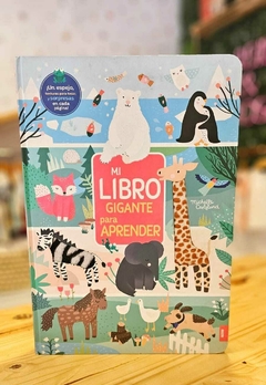 MI LIBRO GIGANTE PARA APRENDER - tienda online