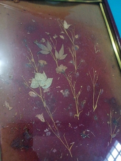 Antiga bandeja em madeira com laca vinho - Japão na internet