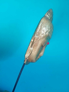 Escultura em Mastro rosto de Buda dourado