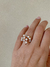 Anillo de la vida.