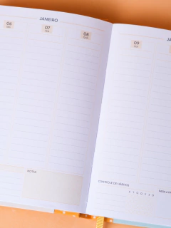 Imagem do Agenda | Planner 2025 - Sopro Livre mostarda