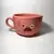 Pato Gravity Falls