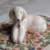 PERRITO GUARDÍAN - comprar online