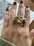 Anillo Meteorito