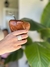 Anillo Ani