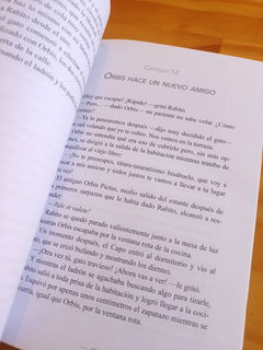 Imagen de Orbis Pictus Detective