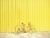 Cuadro Pop Yellow Bycicle en internet