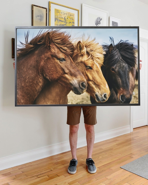 Cuadro Caballos Campo - comprar online