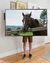 Cuadro Caballo Sir John - comprar online