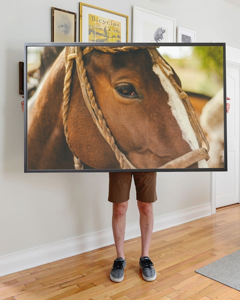 Cuadro Caballo Moro - comprar online