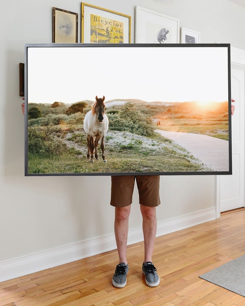 Cuadro Caballo El Atardecer - comprar online