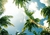 Cuadro Palmtrees en internet