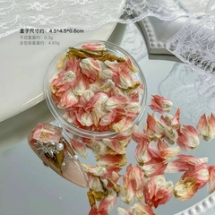 Flores Secas x1 - Beauties