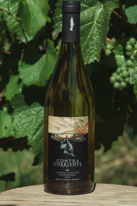 Contra Corriente - Limited Edition - Chardonnay 2023 - Caja x 6 unidades