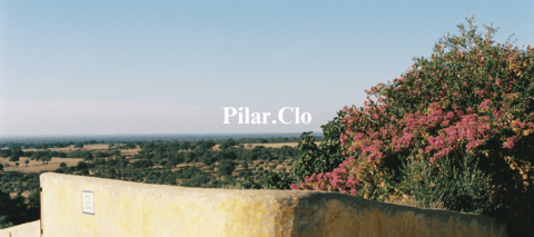 Carrusel pilar.clo