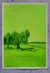 FEDE NAVARRETE - PINTURA