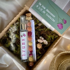 Kit Gentileza gera Gentileza - comprar online