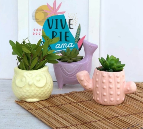 Imagen de Maceta cerámica (varios diseños)