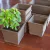 Vaso Treinamento Modular 12 x 12 x 10cm na internet