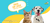 Imagen del carrusel For Pet