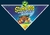 Bandanas luxo com o tema do Scooby-Doo para pet shop