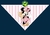 Bandanas luxo com o tema do Mickey e Minnie para pet shop