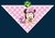 Bandanas luxo com o tema do Mickey e Minnie para pet shop