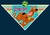 Bandanas luxo com o tema do Scooby Doo para pet shop