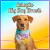 Combo Sortido Bandanas Pet Viés 100% - Big Dog Brasil - 10 - 50 ou 100 und. - comprar online