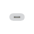 Adaptador Apple Original USB-C to Lightning - comprar online